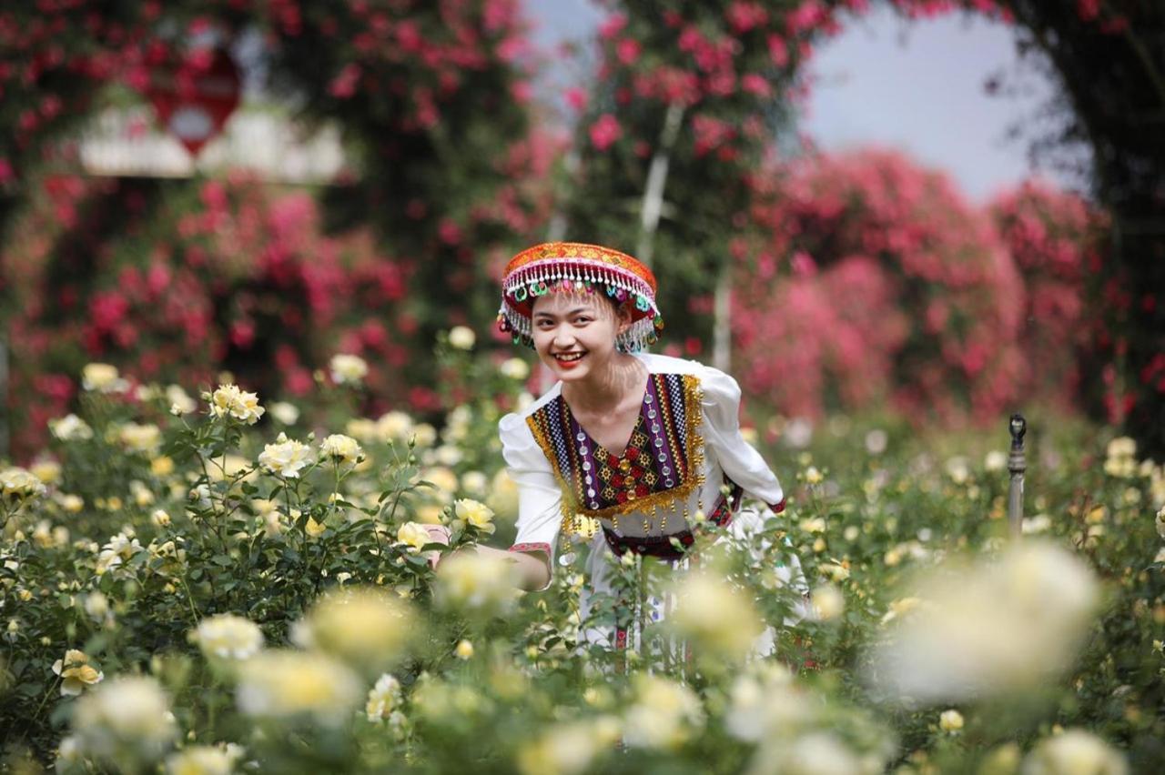 Tiger Sapa Hotel ภายนอก รูปภาพ